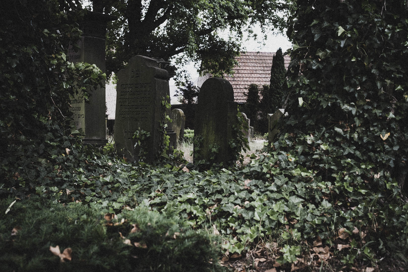 Rheda Wiedenbrück 0514